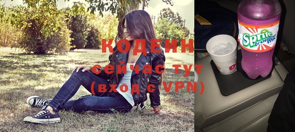 сатива Арсеньев