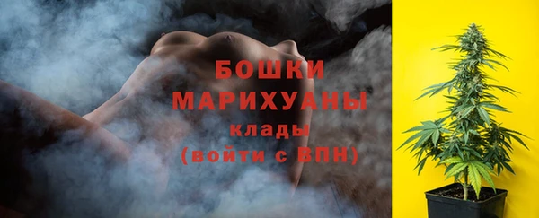 сатива Арсеньев