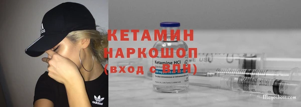 сатива Арсеньев