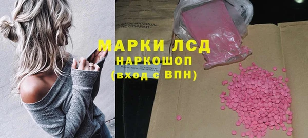 сатива Арсеньев