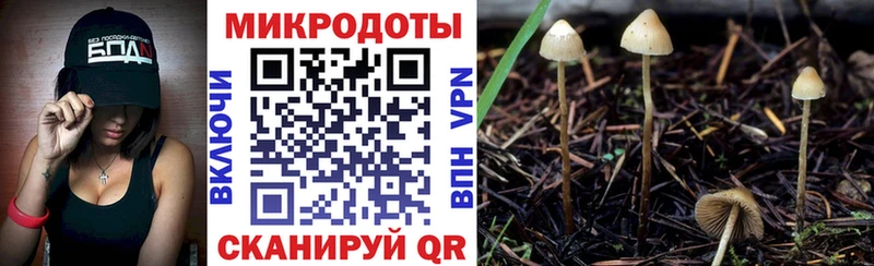 Купить Александровск-Сахалинский Псилоцибиновые грибы Magic Shrooms